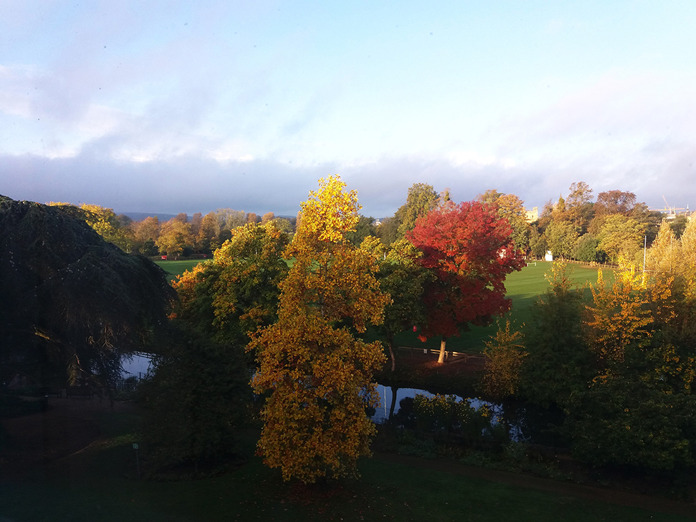 My view from the window at St. Hildas College. Oxford University. 20.10.2022 2